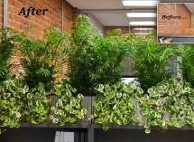 Before-After-2-copy