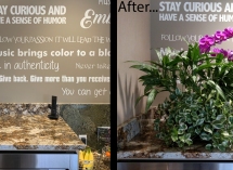 BeforeAfterOrchidBowl-1