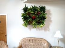 IMG_20160630_122744421