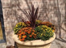 IMG_20170926_125823314