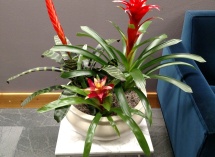 IMG_20171004_090823469