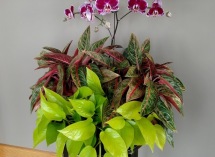 IMG_20180409_115123070