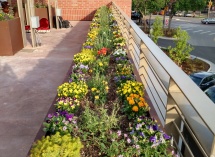 IMG_20180607_185541205_HDR