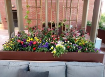 IMG_20180730_075831557