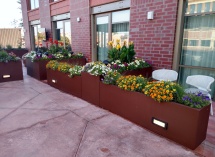 IMG_20180730_075854252_HDR