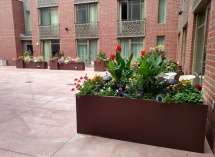 IMG_20180817_121926843_HDR