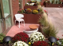 IMG_20181003_123354330