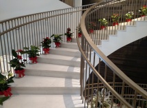 IMG_20181206_133137815