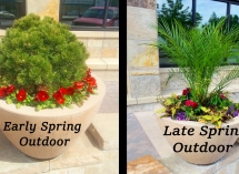SpringOutdoor